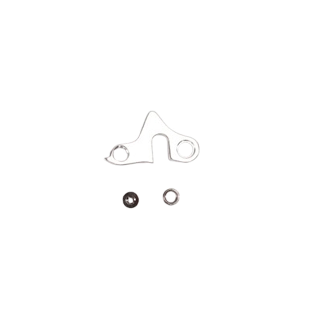 RadRunner Derailleur Hanger