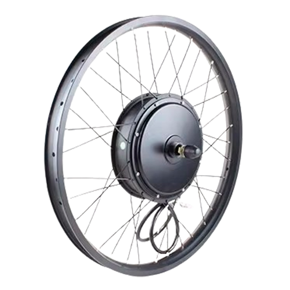 Rear Wheel - RadWagon 2019
