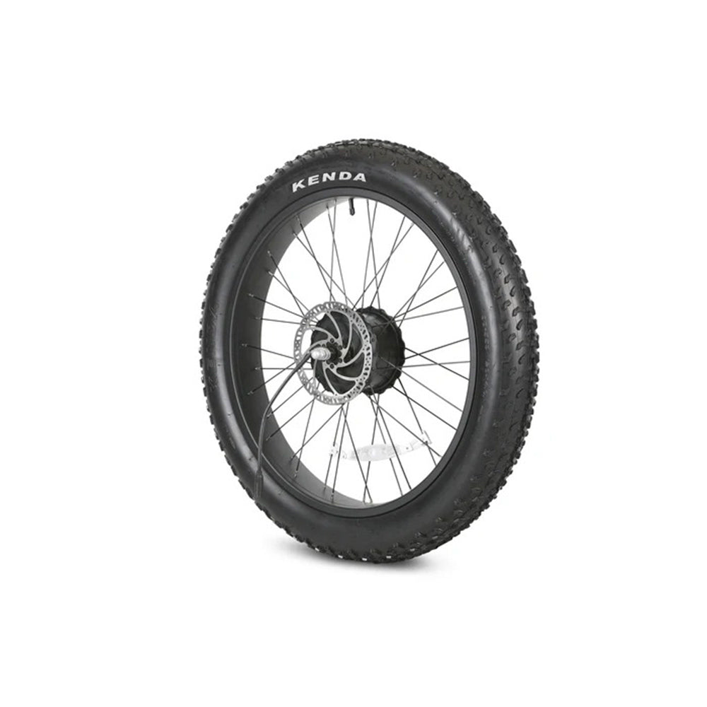 Rear Wheel - RadRhino 5