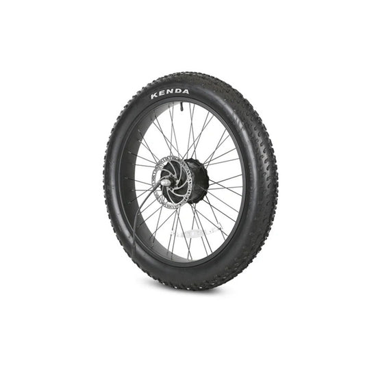 Rear Wheel - RadRhino 5