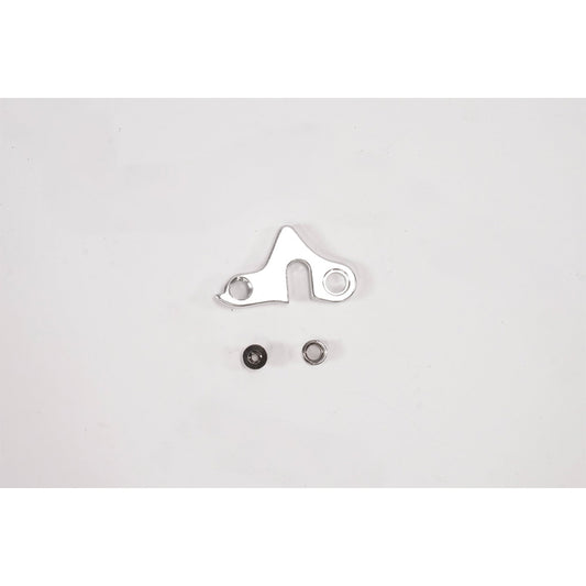 Derailleur Hanger - RadWagon 4